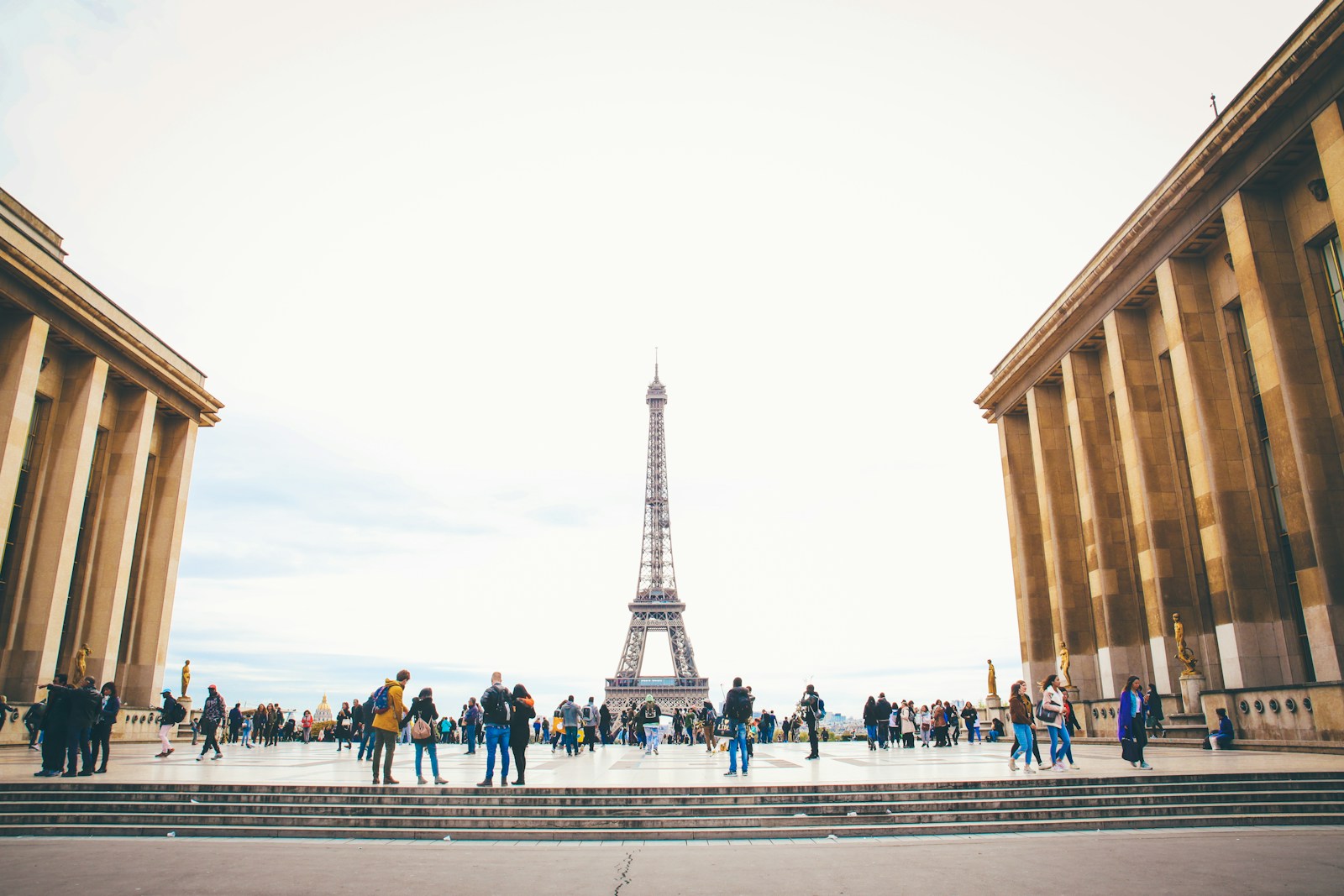 people standing while watching Eiffel tower