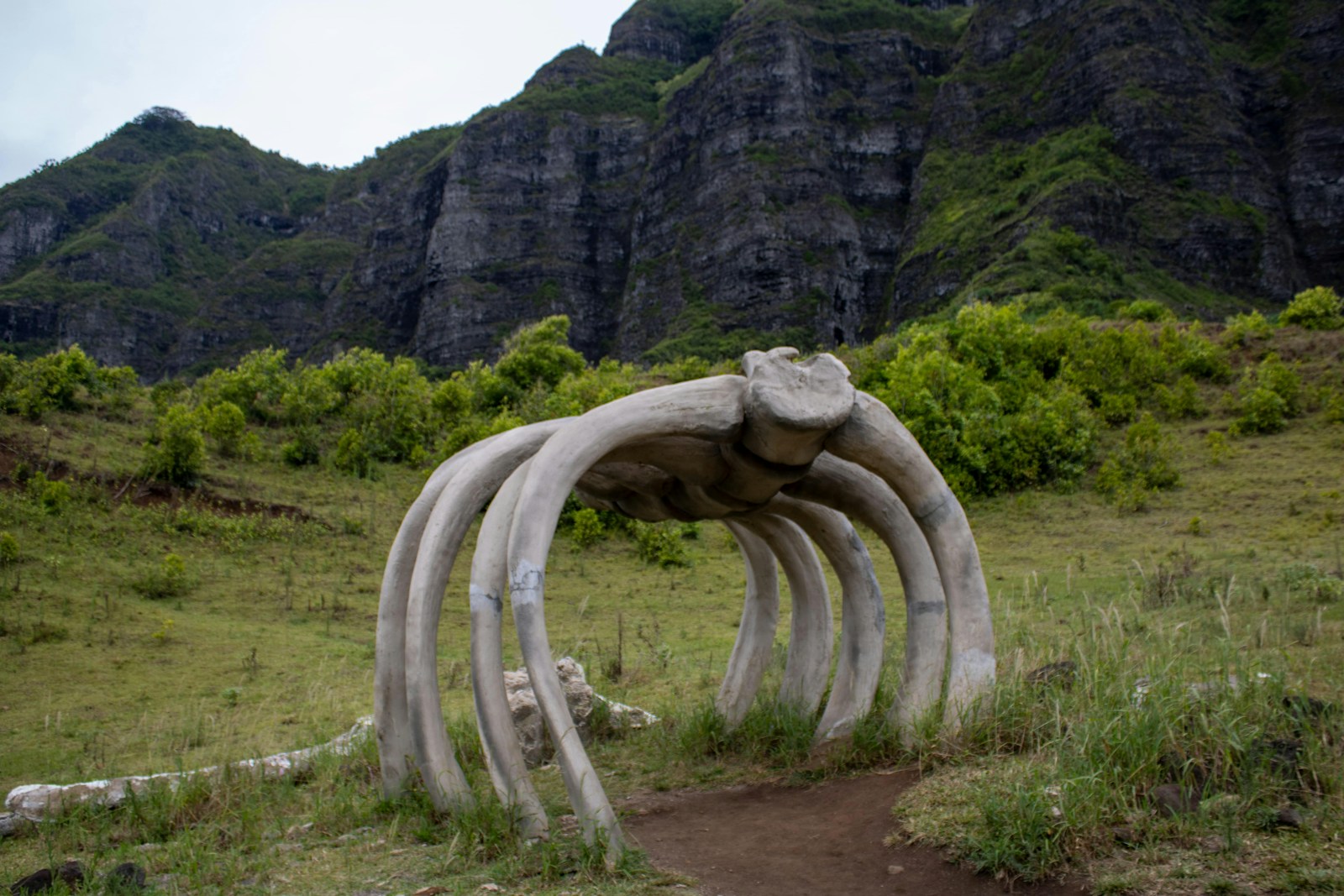 A group of large white sculptures sitting on top of a lush green hillside